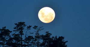 Schermata 2015-08-05 alle 22.05.45